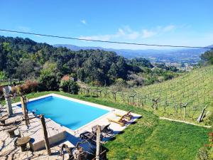 an image of a swimming pool in a vineyard at Casa Cabreiros de Cima in Melgaço