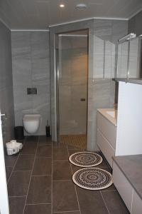 W łazience znajduje się prysznic, umywalka i toaleta. w obiekcie Exclusive Apartment w mieście Stryn