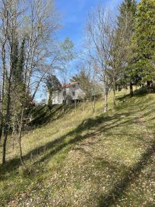 una casa en la cima de una colina con árboles en il casale di Bruno e Pina, 