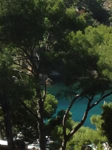 a view of a lake through some trees at Les terrasses des Anthenors in La Redonne
