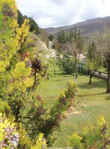 Táj Show holiday homes közelében