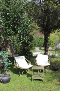 A garden outside Villa Magnolia