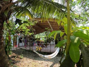 a hammock in the middle of a garden at MaMMa Jungla in Ayampe