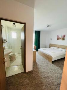 a hotel room with a bed and a bathroom at Pensiunea NOVO in Baile Felix