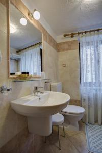 a bathroom with a sink and a toilet and a mirror at Hotel Cecchin in Aosta