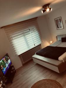 een slaapkamer met een bed, een televisie en een raam bij Rheindomizil 43 in Karsau