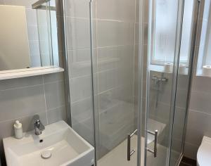 een badkamer met een douche en een wastafel bij Park Maksimir Apartments in Zagreb