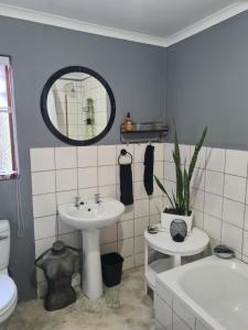 a bathroom with a sink and a toilet and a mirror at Prosper Stud Guest House in Robertson