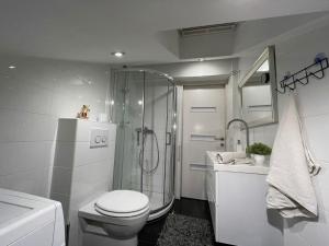 Kúpeľňa v ubytovaní Apartman Rakovac