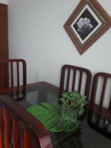 a glass table with a plant on top of two chairs at Apartamento Marina Clube Vista Lagoa in Cabo Frio
