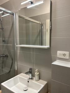 a bathroom with a sink and a shower and a mirror at Park Maksimir Apartments in Zagreb