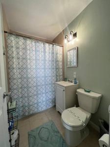 a bathroom with a toilet and a shower at Beach Bungalow in downtown Cocoa Beach in Cocoa Beach