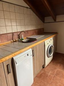 Kuchyň nebo kuchyňský kout v ubytování Apartamento el Remiendu Pegau