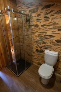 a bathroom with a toilet and a shower at Xisto Sentido in Martim Branco