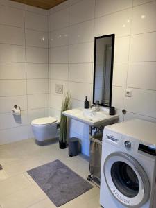 een badkamer met een wasmachine en een wastafel bij Rheindomizil 43 in Karsau