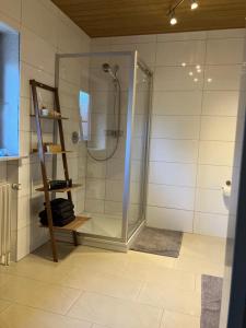 a bathroom with a shower with a glass door at Rheindomizil 43 in Karsau