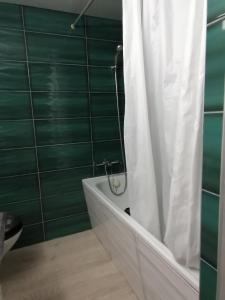 a bathroom with a tub and a shower curtain at Wohnung 53m2 gross mit Internet TV Küche Mit schöner Aussicht 53 m2 in zwischen Olten und Aarau in Lostorf