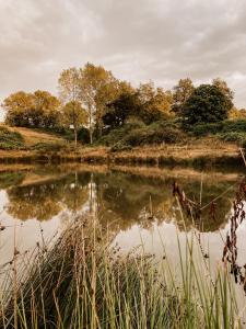 a body of water with trees in the background at La ferme du pont de Maumy, cabane au bord de l'étang et bain nordique in Busserolles