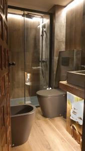 y baño con ducha, aseo y lavamanos. en Casa Matilda - Apartamento con chimenea, vistas, rustico-elegante en el centro, en Sant Joan de les Abadesses