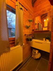 a bathroom with a shower and a sink and a window at Ferienhaus-Blockhütte im Fichtelgebirge - Nagler See 2 km in Nagel
