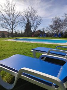 een groep blauwe en witte bedden zittend in het gras bij Quinta Chão da Bispa in Oliveira do Hospital