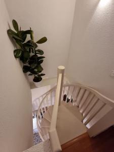a white staircase with a potted plant on a shelf at Le Dalí-Duplex au pied de Castillet in Perpignan