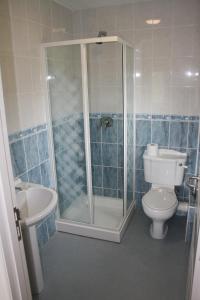 a bathroom with a shower and a toilet and a sink at Ballyraine Self Catering in Letterkenny