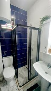 ein Bad mit einer Dusche, einem WC und einem Waschbecken in der Unterkunft Joković Accommodation in Kotor