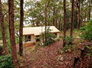 a small house in the middle of a forest at Aqua Vista in Smiths Lake