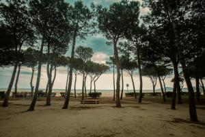 park z ławką i drzewami na plaży w obiekcie Appartement T2 les pieds dans l'eau à Argeles-Sur-Mer w Argelès-sur-Mer