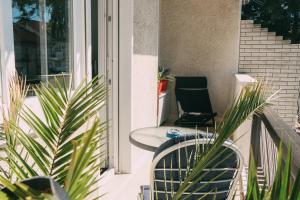 Foto Belgradis asuva majutusasutuse Smart hostel galeriist