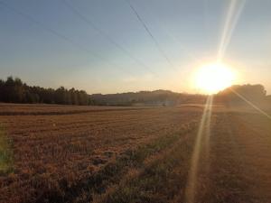 レシナにあるGórska Ostoja pole kempingowo- kamperoweの夕日を背景にした畑