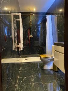 a bathroom with a toilet and a shower at Le souffle de l’amour in Melun