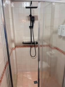a shower with a glass door in a bathroom at Cantinho da Aldeia in Tomar