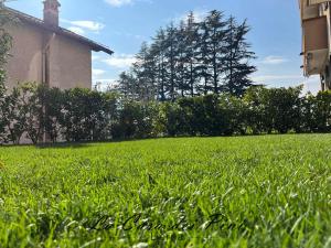 Сад в La casa dei pini