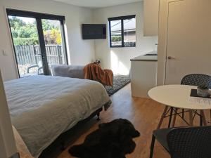 a bedroom with a bed and a dog laying on the floor at Studio 4 - NEW & Central in Hanmer Springs