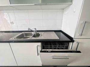 encimera de cocina con fregadero y lavavajillas en Airport Expo Apartment, en Lisboa