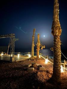 a group of palm trees on a beach at night at Dahab Hills Villa and Studios in Dahab