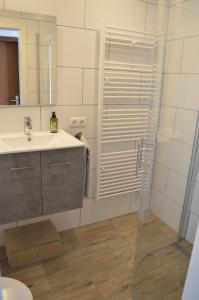 a bathroom with a shower and a sink and a mirror at Ferienhaus Nr. 12 am Südhang der Bentheimer Berge nah an der Natur in Bad Bentheim +19 photos