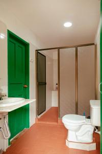 a bathroom with a green door and a toilet and a sink at LUzArt in Jardin