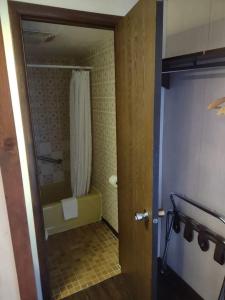 a bathroom with a shower and a toilet and a door at The Pines Motel in Saint Maries