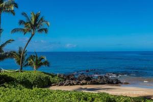 a beach with two palm trees and the ocean at Polo Beach Club Two Bedrooms - Sleeps 6 by Coldwell Banker Island Vacations in Wailea
