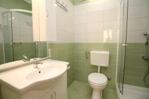 W łazience znajduje się umywalka, toaleta i prysznic. w obiekcie Apartments with parking spaces Baska, Krk - 18861 w Bašce +18 zdjęć