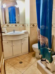 a bathroom with a sink and a toilet and a shower curtain at Rei Apartment in Quarteira