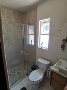 W łazience znajduje się prysznic, toaleta i umywalka. w obiekcie Villa el roble w Acapulco