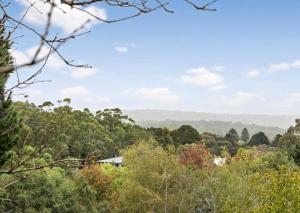 a view of a forest with trees and a house at Jayda in Daylesford +16 photos