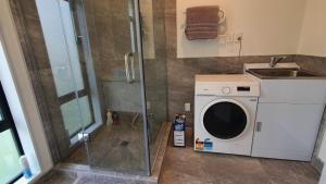 un baño con lavadora junto a un lavabo en Cozy 2- Bedrooms Unit In Hamilton en Hamilton