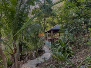 a path in a forest with a building in the background at Los Vivos Beachfront Experience in Pochote +24 photos