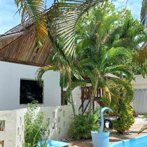 a pool with a swan in front of a house at Pousada Mares de Stella in Salvador +10 photos