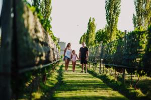 una famiglia che cammina lungo un sentiero attraverso un vigneto di Posada La Victoria a San Rafael